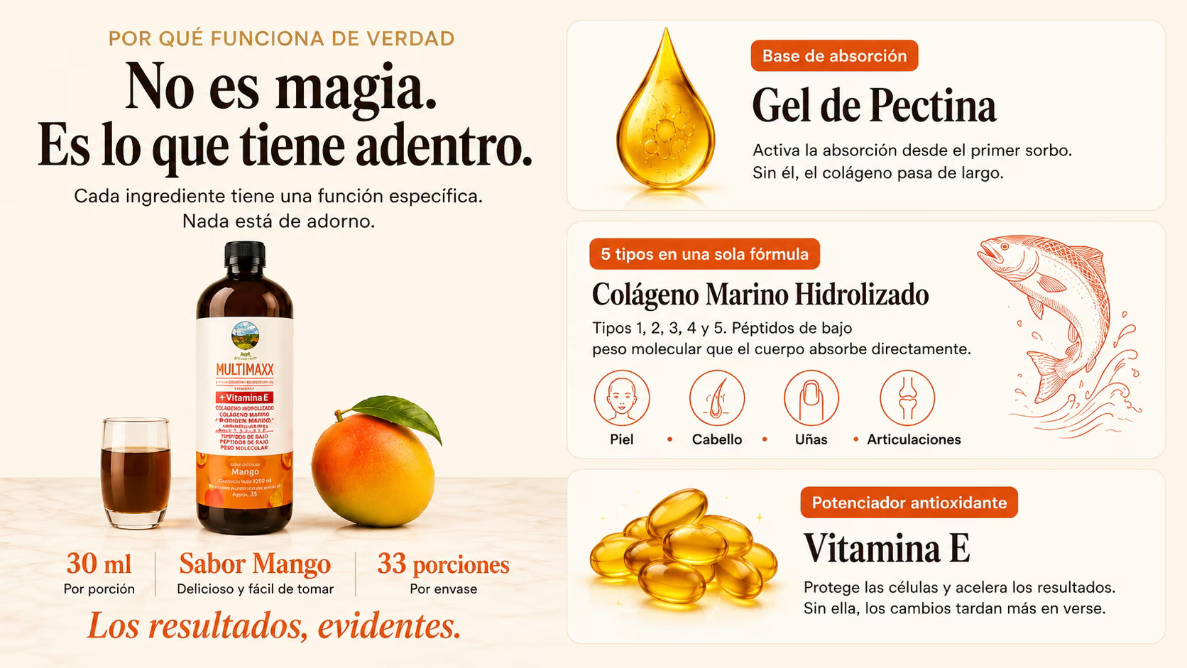 Producto