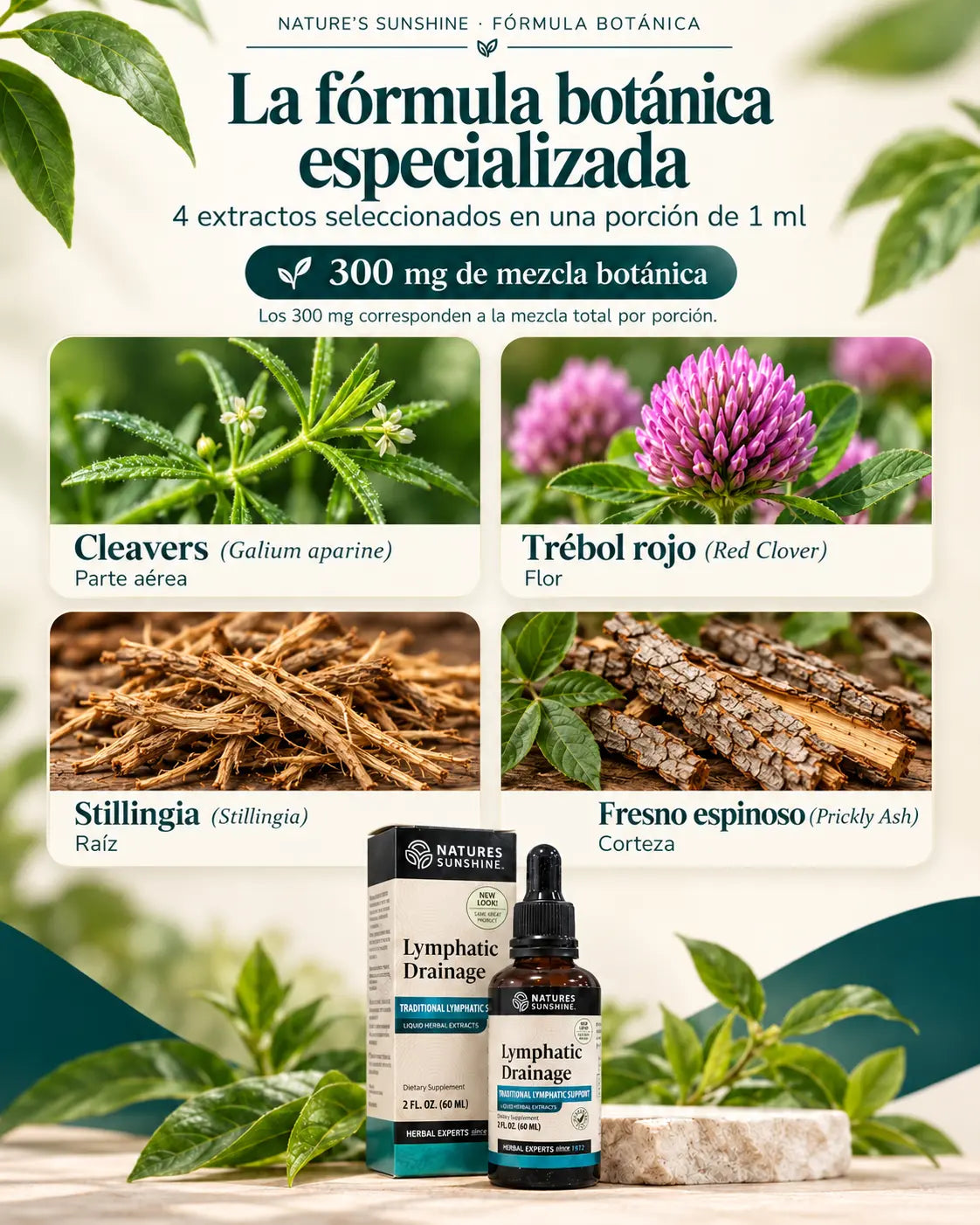Producto